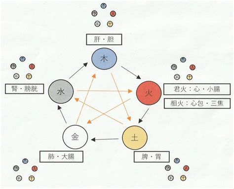 九難極陰子